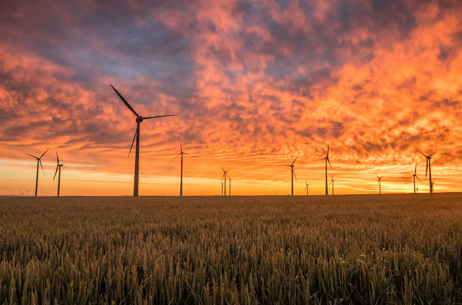 Wind turbines across an open plain at sunset